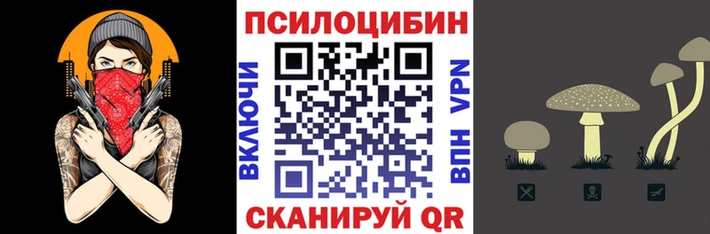 Галлюциногенные грибы Cubensis Моздок